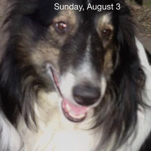 Meet your Posher, Judith